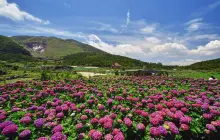 Yangmingshan National Park