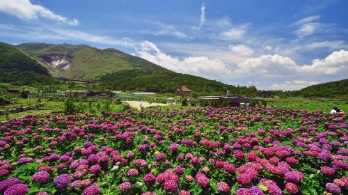 Yangmingshan National Park