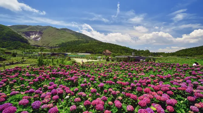 1_陽明山國家公園