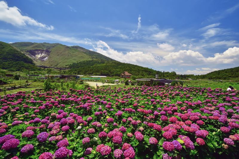 Yangmingshan National Park