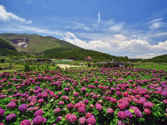 Yangmingshan National Park