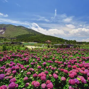 陽明山國家公園