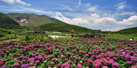 陽明山國家公園