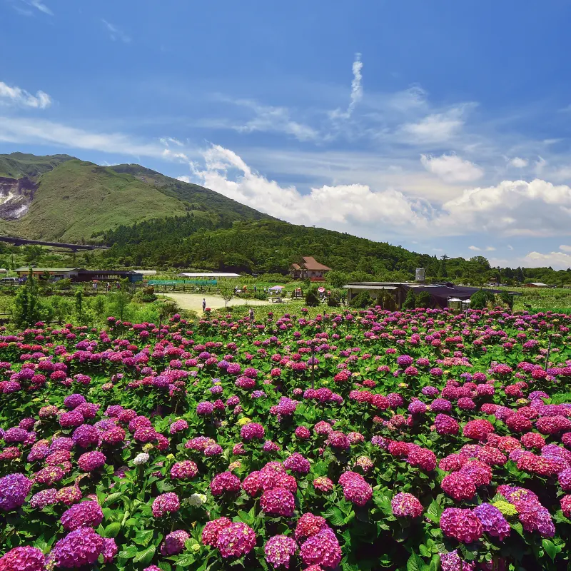 陽明山國家公園