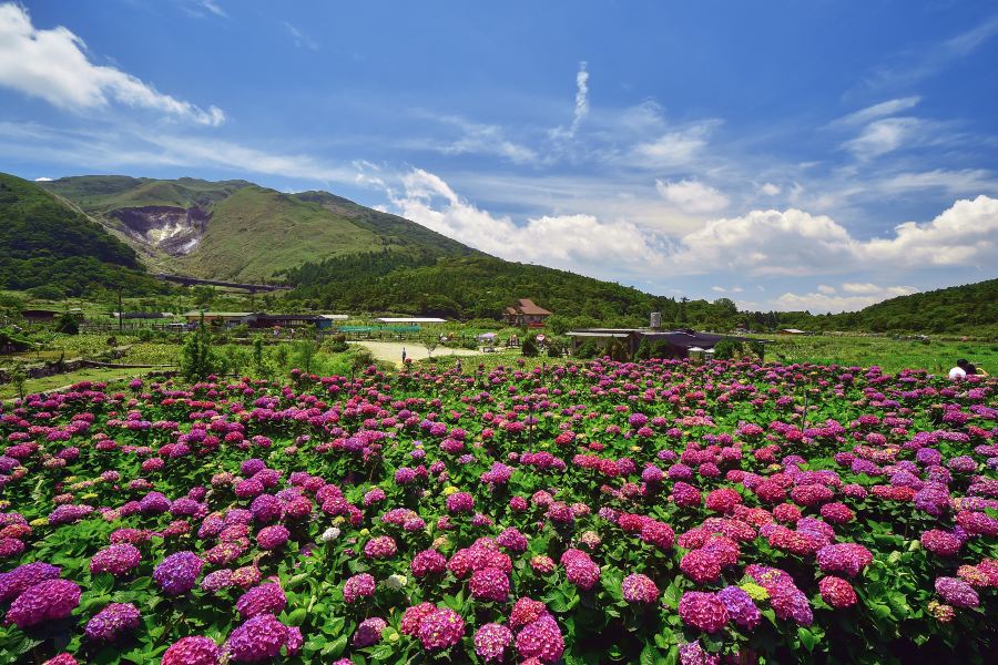 陽明山國家公園
