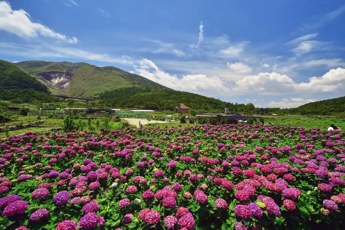 Yangmingshan National Park