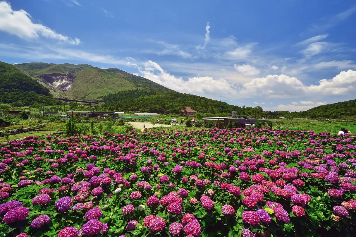 1_陽明山國家公園