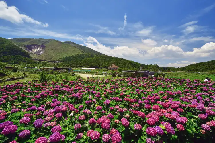 Hotels near Yangmingshan National Park