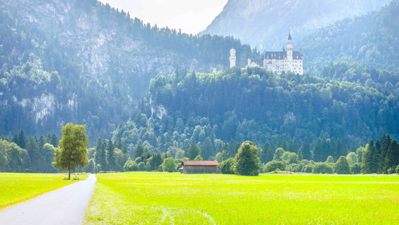 Schwangau