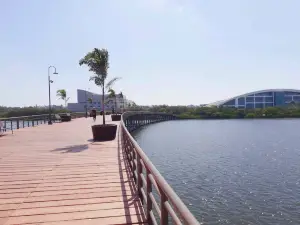 Parque Metropolitano de Tampico