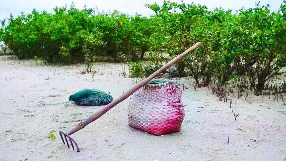 Bắc Hải