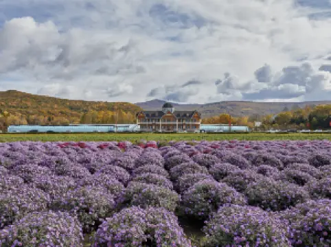 上甘嶺渓水国家森林公園