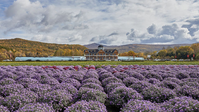Shangganling Xishui National Forest Park