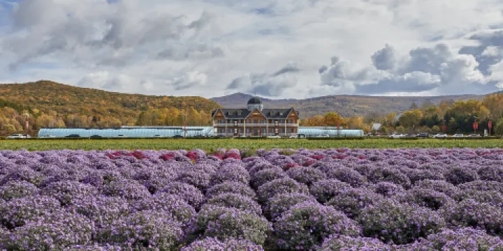 上甘嶺溪水國家森林公園