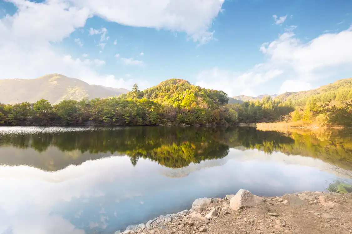 Hotels near Mossy-Stone Valley