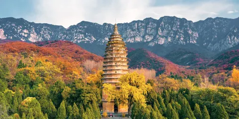 嵩陽景區聯票(太室山+嵩陽書院+法王寺+嵩岳寺塔+老君洞)成人