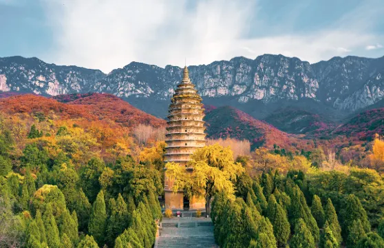 嵩陽景區聯票(太室山+嵩陽書院+法王寺+嵩岳寺塔+老君洞)成人