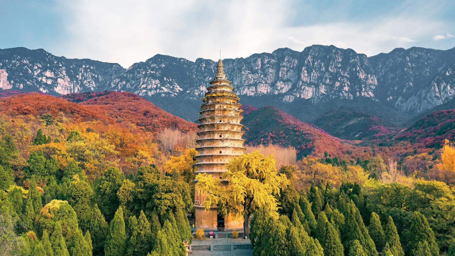 鄰近嵩陽景區的酒店