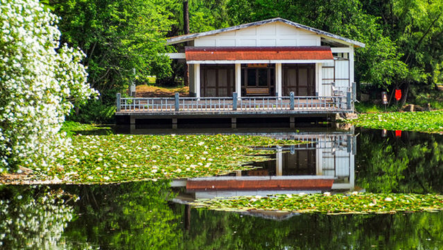 Hefei Botanical Garden