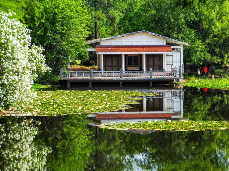 Hotels near Hefei Botanical Garden