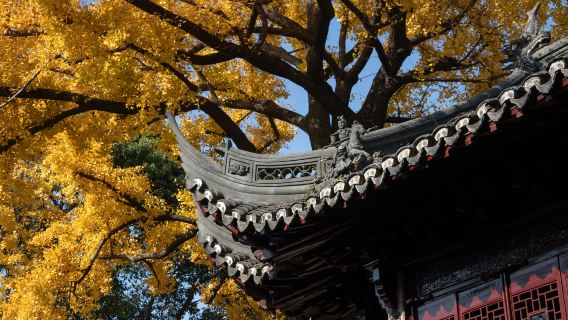 【精緻私人導覽】上海豫園+城隍廟2小時趣味人員導覽+高清耳麥