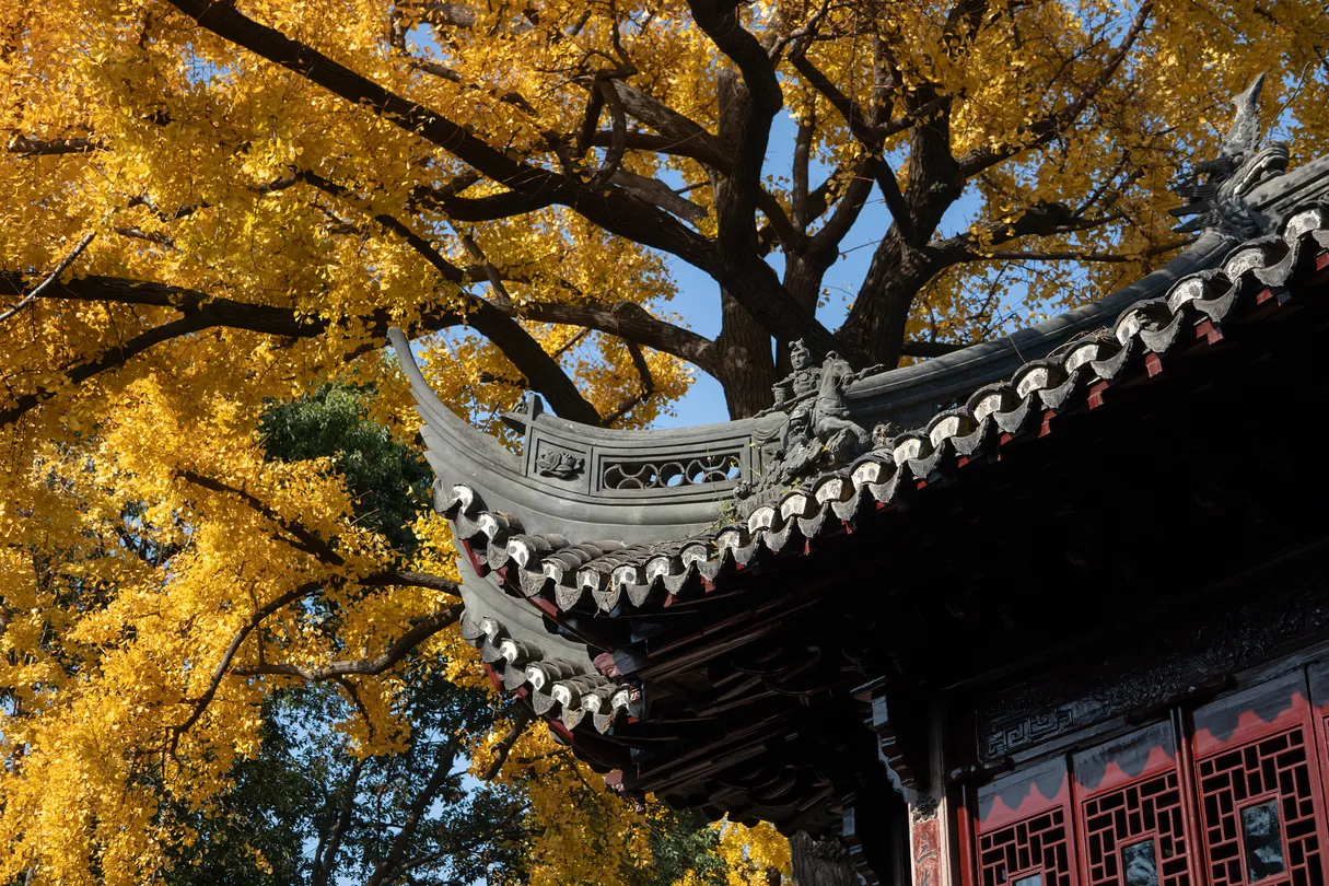 Best Time to Visit Yu Garden