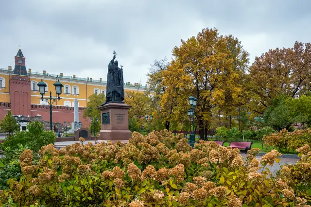 Ginkgo Viewing in Moscow