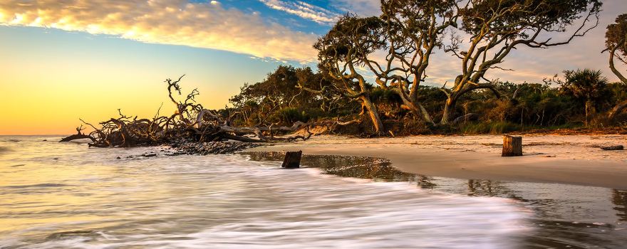 Georgia Beach