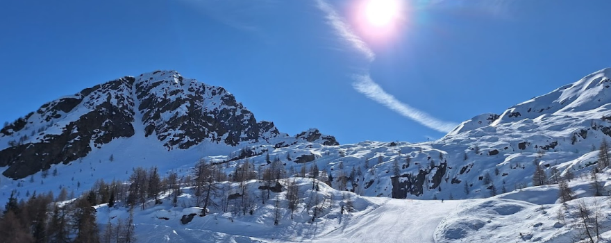 Aprica (so)