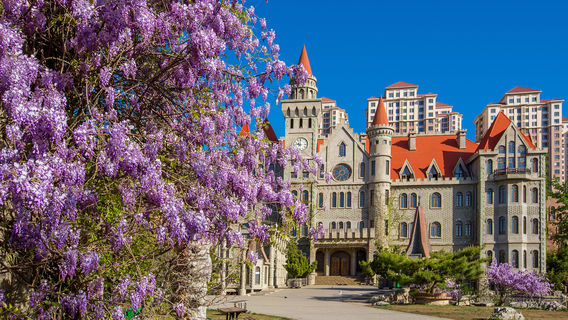 Chinese Stone Garden