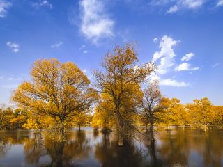 창안항공 시안-둔황