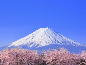 Mt.Fuji 5th station