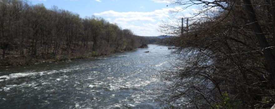Foul Rift Observation Deck