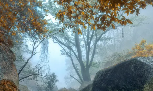 Daluo Mountain