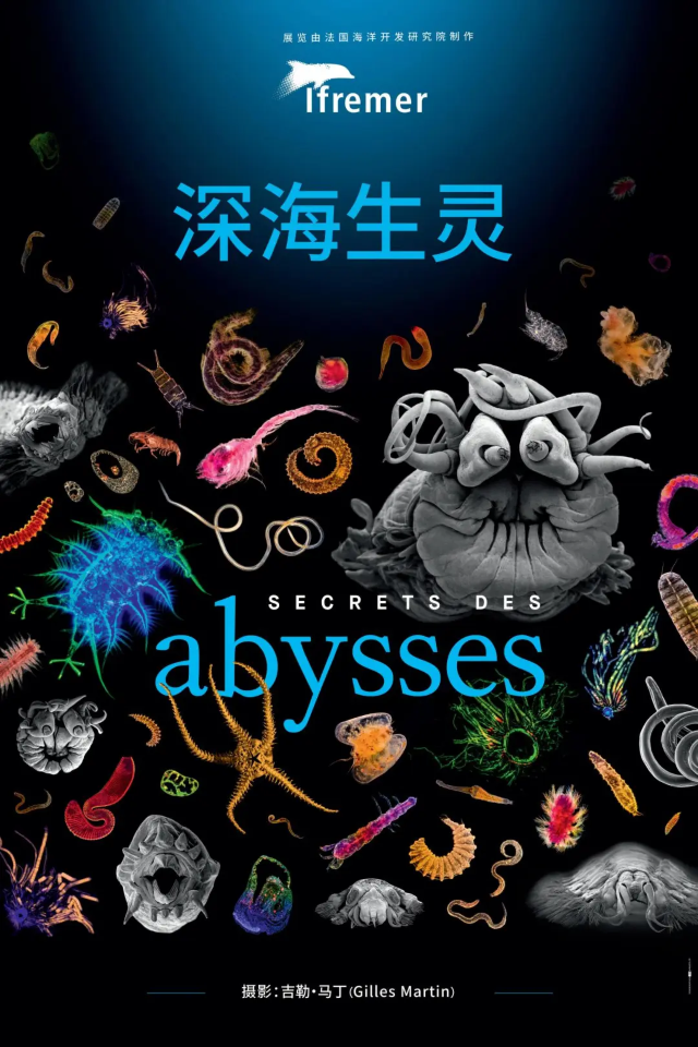 《深海生靈》第十二屆“中法環境月”圖文展 | 國家海洋博物館