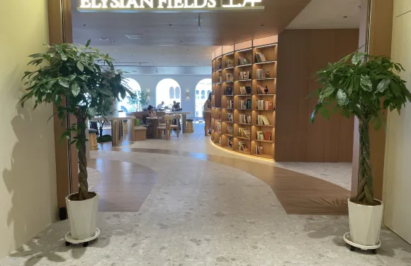 Elysian Fields·上岸