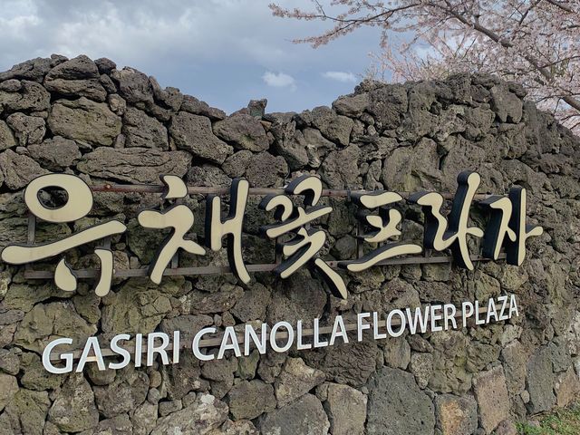 봄날의 제주 .(*´◡`*).