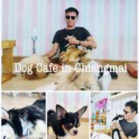 คาเฟ่คนรักหมา เชียงใหม่ ใจรักต้องมา
