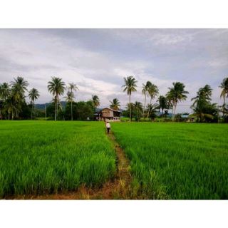 Warung Simpor Utara