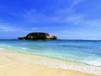 The turtle beach