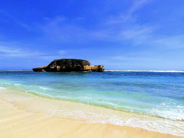 The turtle beach