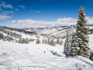 Vail Ski Resort