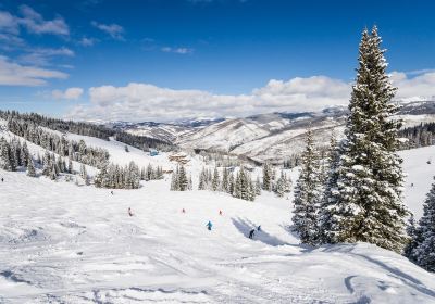 Vail Ski Resort