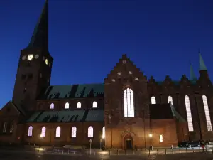 Cathédrale d'Århus