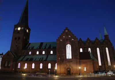 Cathédrale d'Århus