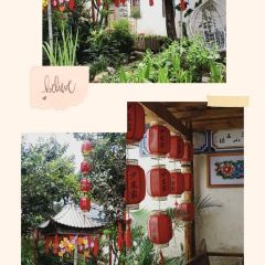 Yun Qin User Photo