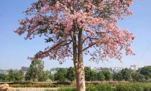 Jianshui 17-hole Bridge