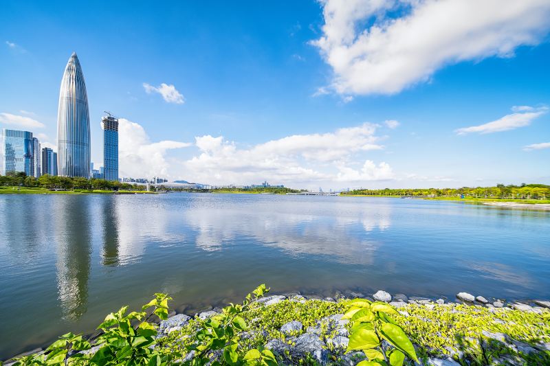 Area C, Shenzhen Bay Park