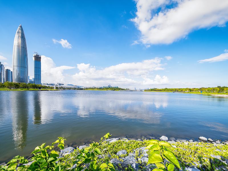 Area C, Shenzhen Bay Park