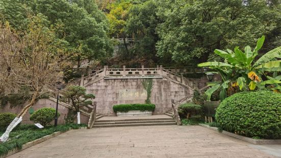 龙泉山的海拔仅不到七十米，适合晨练。山体各个平台有许多武术爱